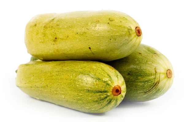 Ripe fresh zucchini — Stock Photo, Image