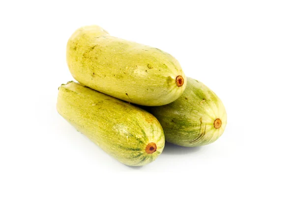 Ripe fresh zucchini — Stock Photo, Image