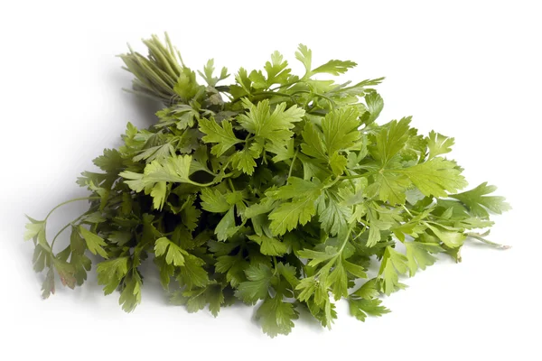 Sheaf of ripe parsley — Stock Photo, Image
