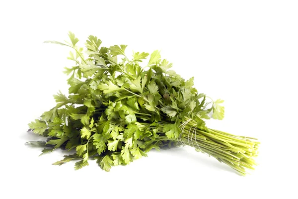 Sheaf of ripe parsley — Stock Photo, Image