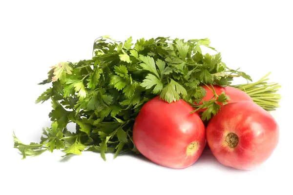 Tomates y perejil — Foto de Stock