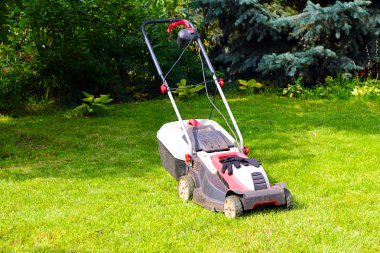 Çim biçme makinesi ve çim