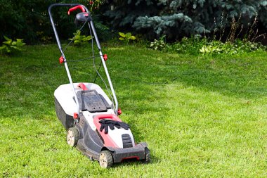 Çim biçme makinesi ve çim