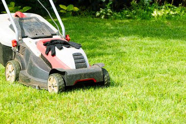 Çim biçme makinesi ve çim