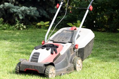 Çim biçme makinesi ve çim