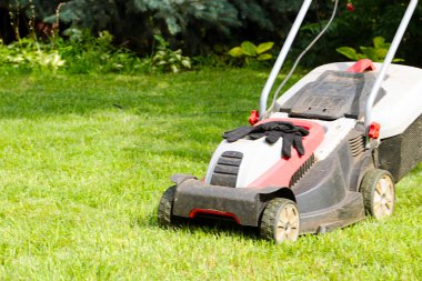 Çim biçme makinesi ve çim