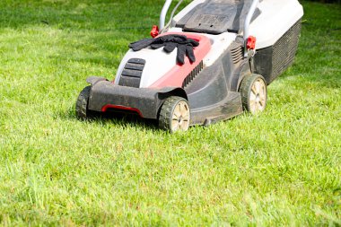 Çim biçme makinesi ve çim
