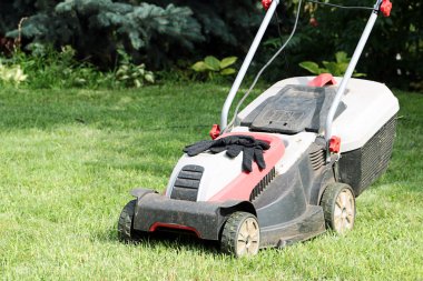 Çim biçme makinesi ve çim