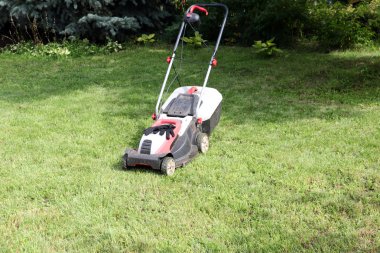 Çim biçme makinesi ve çim