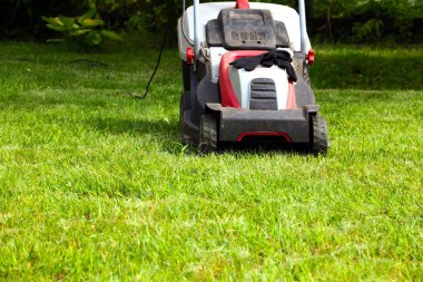 Çim biçme makinesi ve çim