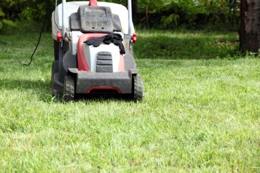 Çim biçme makinesi ve çim