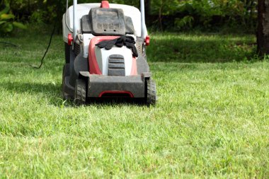 Çim biçme makinesi ve çim