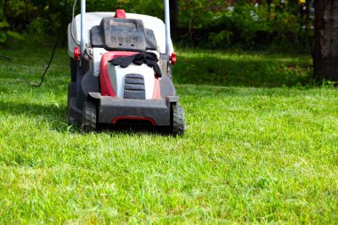 Çim biçme makinesi ve çim