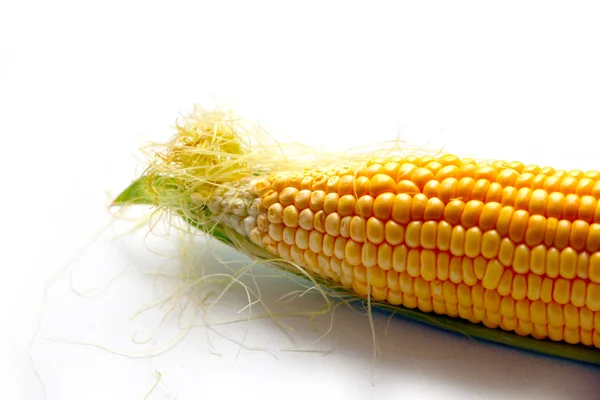 Oreja de maíz maduro —  Fotos de Stock
