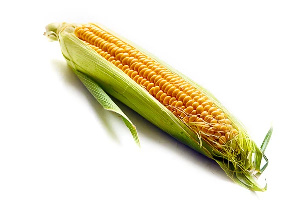 Ear of ripe corn — Stock Photo, Image