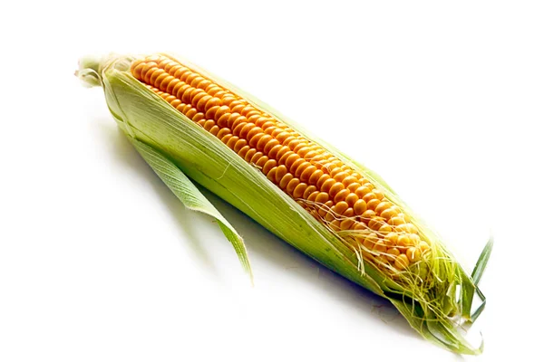 Ear of ripe corn — Stock Photo, Image