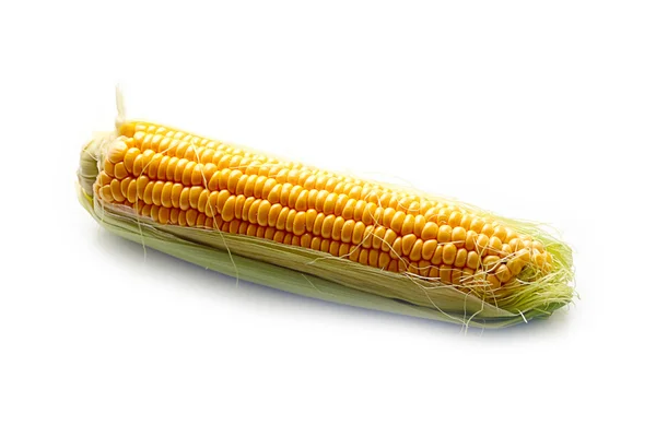 Oreja de maíz maduro —  Fotos de Stock