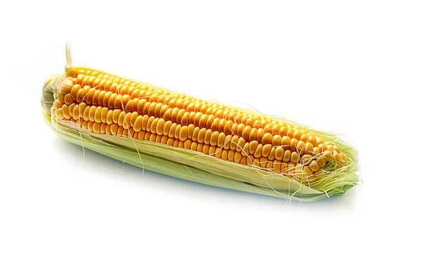 Ear of ripe corn — Stock Photo, Image