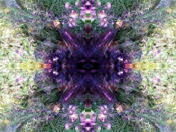 Abstraktní Vzory Vytvořené Při Fotografování Rostlin Pomocí Kaleidoskopu — Stock fotografie