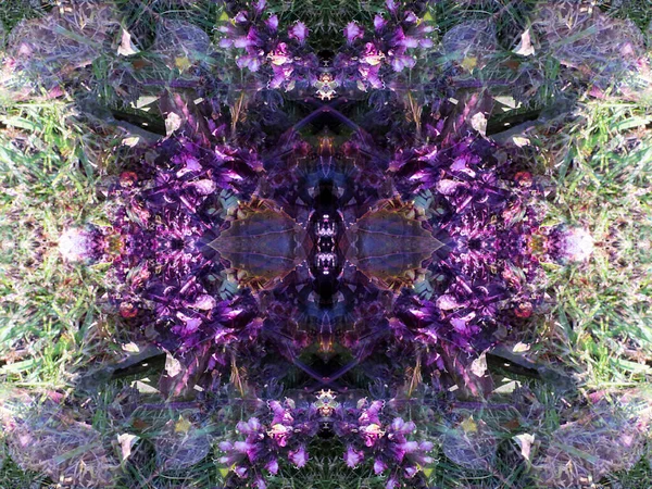 Abstraktní Vzory Vytvořené Při Fotografování Rostlin Pomocí Kaleidoskopu — Stock fotografie