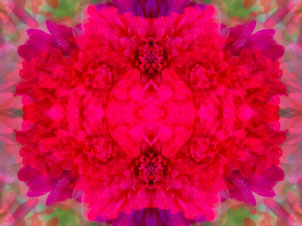 Abstract Patterns Created Shooting Plants Kaleidoscope — Stock Photo, Image