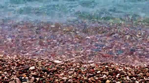 アクティブなレクリエーションのための場所として海の小石のビーチ — ストック動画