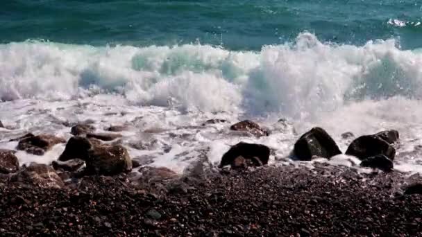 Waves Sea Surf Territory Coastal Zone — Stock Video