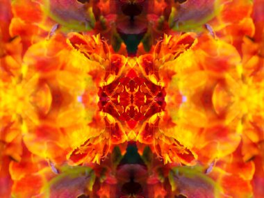 Bir kaleydoskopta fotoğraf çekilirken soyut resim oluşturuldu