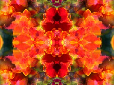 Bir kaleydoskopta fotoğraf çekilirken soyut resim oluşturuldu