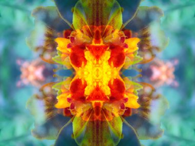 Bir kaleydoskopta fotoğraf çekilirken soyut resim oluşturuldu