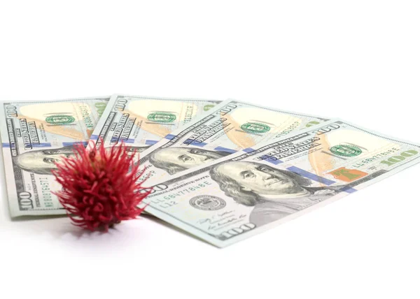 Imitación Virus Malicioso Montón Billetes Papel Dólares Americanos — Foto de Stock