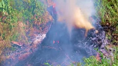 Parlak alevler ve orman yangınından çıkan yoğun duman.