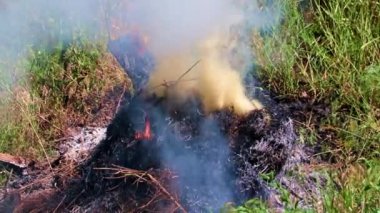Parlak alevler ve orman yangınından çıkan yoğun duman.