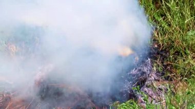 Parlak alevler ve orman yangınından çıkan yoğun duman.