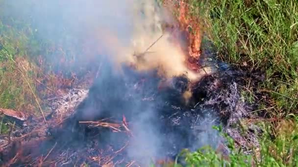 Chamas Brilhantes Fumaça Grossa Incêndio Florestal — Vídeo de Stock