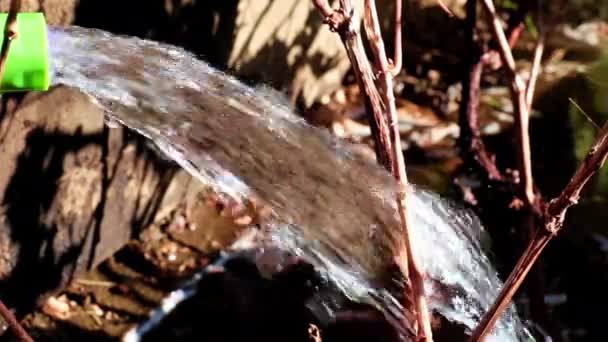 Arroser Herbe Pelouse Avec Tuyau Caoutchouc — Video