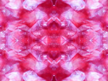 Kaleydoskopla bitkileri vururken soyut kalıplar oluşturuldu