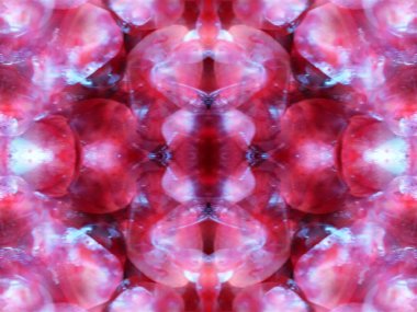 Kaleydoskopla bitkileri vururken soyut kalıplar oluşturuldu