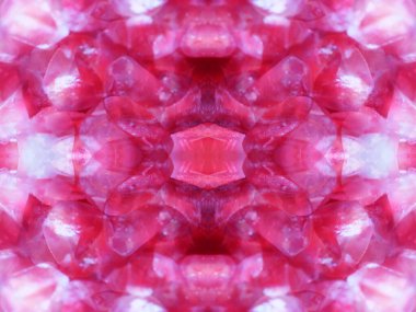 Kaleydoskopla bitkileri vururken soyut kalıplar oluşturuldu