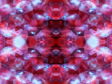 Kaleydoskopla bitkileri vururken soyut kalıplar oluşturuldu