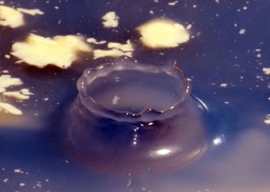 Etkilenen sıvının yüzeyine düşen bir damla suyun izleri.