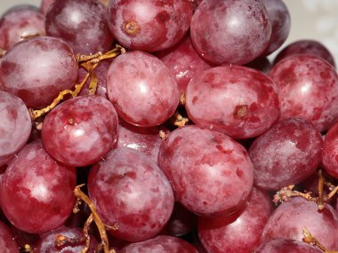 Yemeden önce büyük üzümler bir tabağa konur.