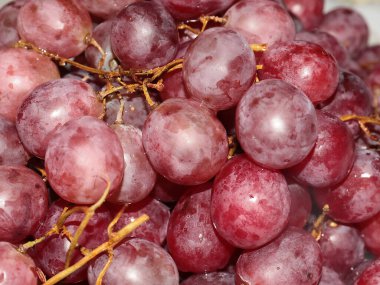 Yemeden önce büyük üzümler bir tabağa konur.