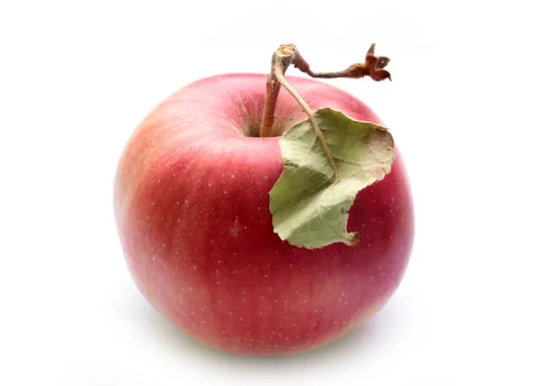 Mooie Rijpe Rode Appel Als Onderdeel Van Herfstfruitoogst — Stockfoto