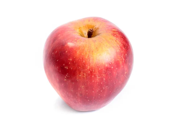 Güzel Olgun Kırmızı Elma Sonbahar Meyve Hasadının Bir Parçası Olarak — Stok fotoğraf