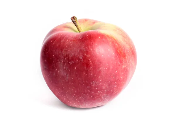 Vackert Moget Rött Äpple Som Del Höstens Fruktskörd — Stockfoto