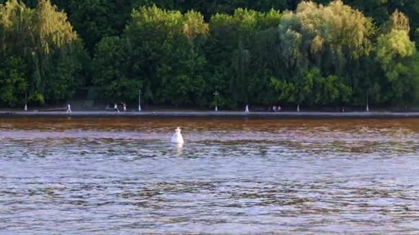 Moskova Nehri Rusya Giden Yolu Gösteren Şamandıra — Stok video
