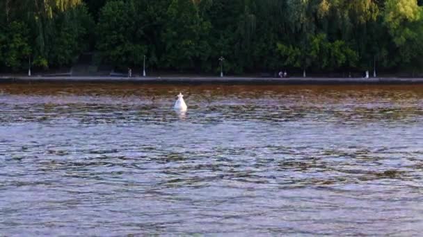 Moskova Nehri Rusya Giden Yolu Gösteren Şamandıra — Stok video