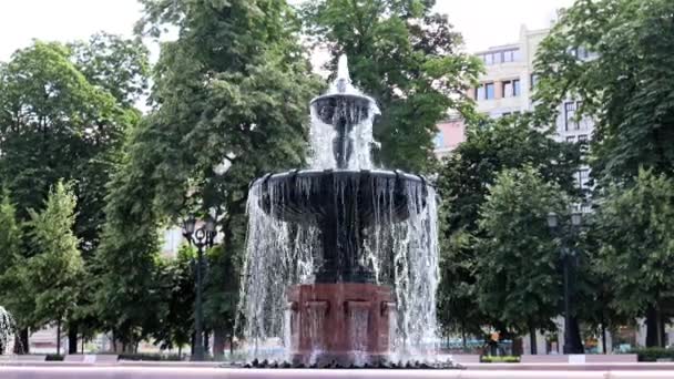 Strumienie Czystej Fontanny Wodnej Placu Puszkina Moskwa Rosja — Wideo stockowe