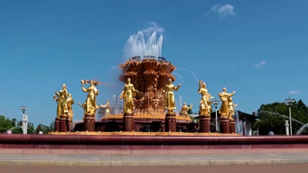 Jetstrålar Klart Transparent Vatten Från Druzhba Narodov Fontän Installerad Vdnh — Stockvideo